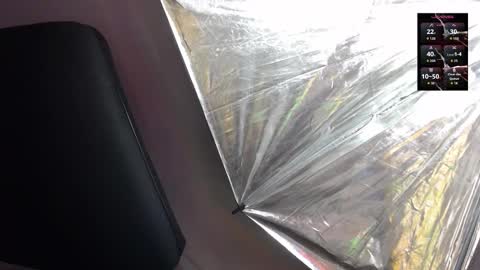 Sienna online show from February 2026 12:10:01 PM