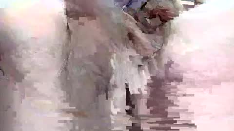 sigmaelixer online show from September 2025 09:08:02 PM