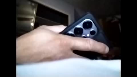 sil15nissan online show from March 2026 07:14:02 AM