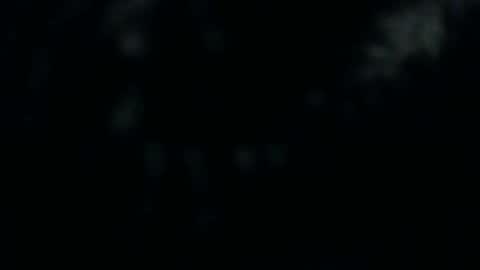 Snapshot of silkeyoz chatting on December 2024 01:22:02 PM Silkey online show from December 2024 01:22:02 PM