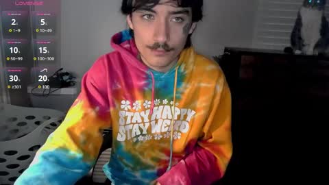 Snapshot of silly_cybin chatting on January 2025 12:24:02 PM cybin online show from January 2025 12:24:02 PM