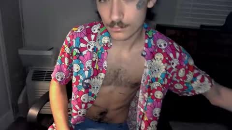 Snapshot of silly_cybin chatting on January 2025 01:11:01 PM cybin online show from January 2025 01:11:01 PM