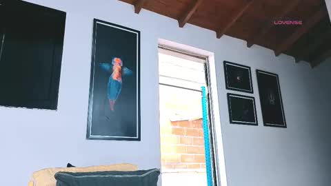 silvabranko online show from March 2026 09:11:01 PM