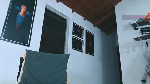 silvabranko online show from March 2026 11:20:02 PM