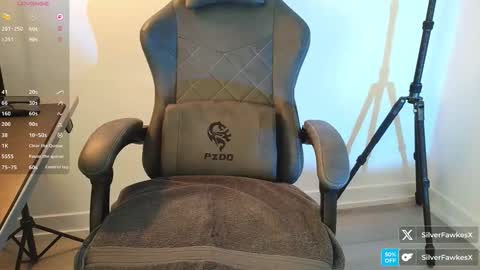 silverfawkesx online show from March 2026 02:53:01 PM