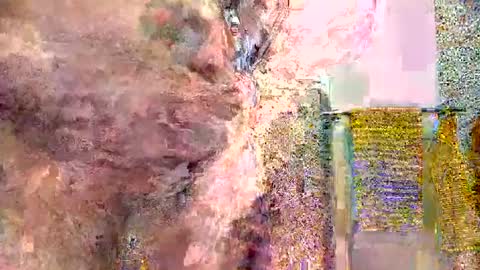 Snapshot of silversurfer1974 chatting on January 2025 11:04:02 AM silversurfer1974 online show from January 2025 11:04:02 AM