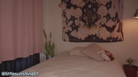 Little Sunshine online show from December 2024 09:16:01 PM