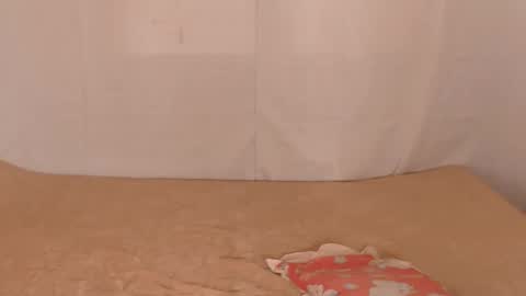 L Y N online show from February 2026 04:38:01 AM