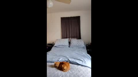 simplysarah1225 online show from February 2026 04:24:02 PM