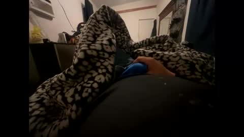 tigre online show from February 2025 10:22:01 PM