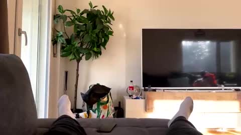 Snapshot of sincarro chatting on November 2025 11:21:02 AM sincarro online show from November 2025 11:21:02 AM