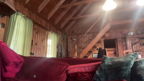 sirbubblesworth online show from January 2025 09:42:02 PM