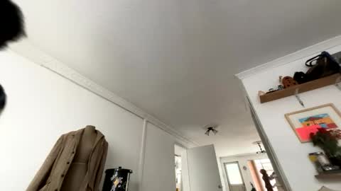 siriss_boyrag online show from February 2026 02:14:01 PM