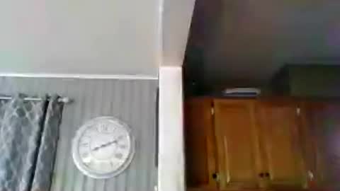SirMike80 online show from July 2026 12:11:02 PM