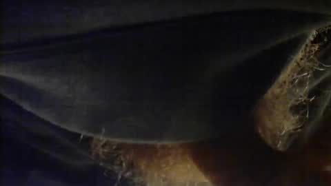 sjim368 online show from December 2025 01:17:04 PM