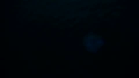 Snapshot of skarletsexy chatting on October 2025 02:20:02 AM Skarlet online show from October 2025 02:20:02 AM