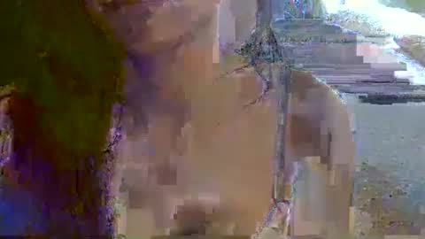 skinnykittencam online show from November 2025 07:25:01 AM