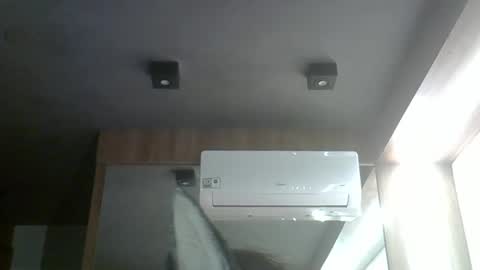 skinnykittencam online show from March 2026 01:10:02 AM