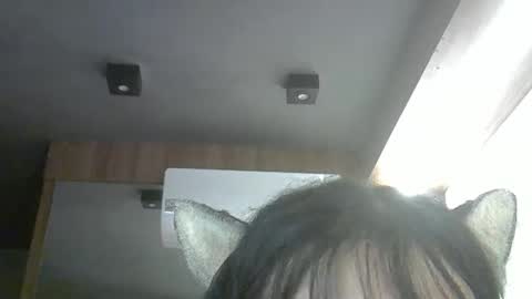 skinnykittencam online show from April 2026 03:01:01 AM