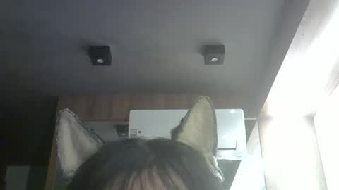 Snapshot of skinnykittencam chatting on April 2026 06:54:02 PM skinnykittencam online show from April 2026 06:54:02 PM