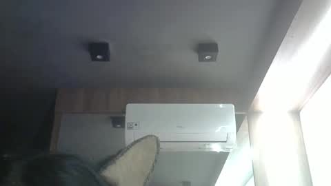 Snapshot of skinnykittencam chatting on May 2026 03:13:02 AM skinnykittencam online show from May 2026 03:13:02 AM