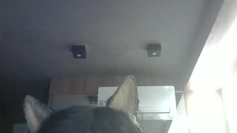 Snapshot of skinnykittencam chatting on May 2026 09:05:01 AM skinnykittencam online show from May 2026 09:05:01 AM