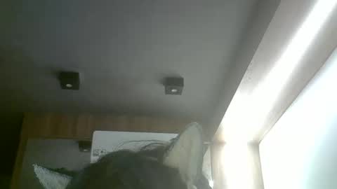 Snapshot of skinnykittencam chatting on May 2026 02:29:02 AM skinnykittencam online show from May 2026 02:29:02 AM