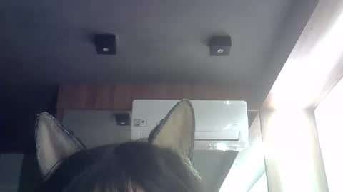 Snapshot of skinnykittencam chatting on May 2026 09:16:02 AM skinnykittencam online show from May 2026 09:16:02 AM