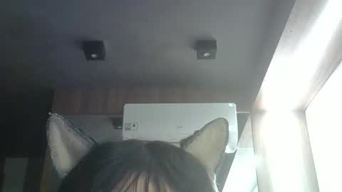 Snapshot of skinnykittencam chatting on May 2026 03:38:01 PM skinnykittencam online show from May 2026 03:38:01 PM