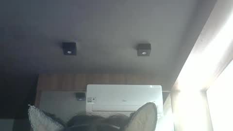 Snapshot of skinnykittencam chatting on May 2026 03:55:02 AM skinnykittencam online show from May 2026 03:55:02 AM