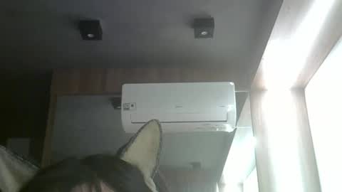 Snapshot of skinnykittencam chatting on May 2026 11:01:02 PM skinnykittencam online show from May 2026 11:01:02 PM