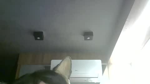 Snapshot of skinnykittencam chatting on May 2026 06:38:02 PM skinnykittencam online show from May 2026 06:38:02 PM