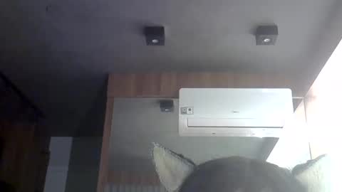 Snapshot of skinnykittencam chatting on May 2026 06:54:02 AM skinnykittencam online show from May 2026 06:54:02 AM