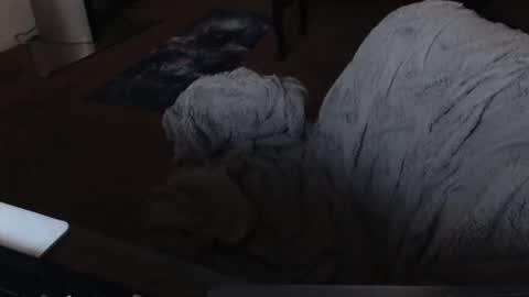 SKYLE   online show from December 2024 05:07:02 AM