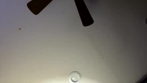 Snapshot of slickdog1969 chatting on January 2025 06:03:01 AM Slickdog online show from January 2025 06:03:01 AM