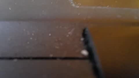 Snapshot of slimy_cunt chatting on January 2025 01:27:01 AM Jemila online show from January 2025 01:27:01 AM