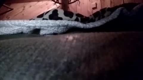 slurryyy online show from March 2026 01:38:01 AM