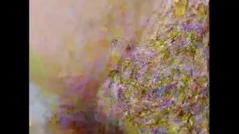 Small Hairy Uncut online show from February 2025 10:09:01 PM