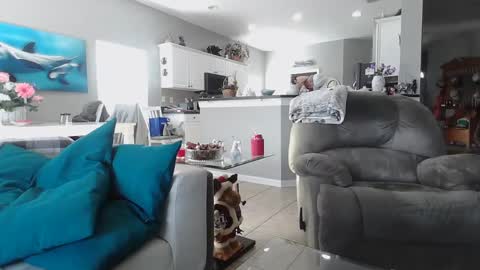 Snapshot of smallpenisbigtongue chatting on December 2024 07:31:02 PM Daddy online show from December 2024 07:31:02 PM