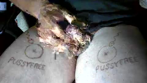 pussyfree4eva online show from June 2026 03:00:02 AM