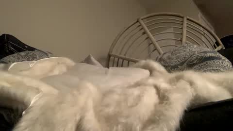 Snapshot of smoke4daddy chatting on October 2025 12:56:02 PM Smoke4Daddy online show from October 2025 12:56:02 PM