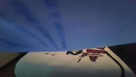 love bug online show from October 2025 08:42:01 AM