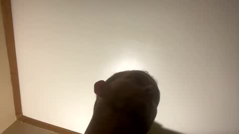 Snapshot of smokeymt420 chatting on March 2025 06:54:02 AM smokeymt420 online show from March 2025 06:54:02 AM