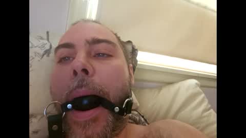 snarkymarks online show from December 2025 03:51:02 PM