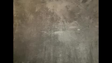 Snapshot of snoochiepoochies chatting on January 2025 06:09:02 AM Will Rex online show from January 2025 06:09:02 AM