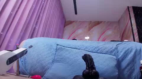 Snapshot of sofi_decker chatting on June 2026 03:11:02 AM Sofia online show from June 2026 03:11:02 AM