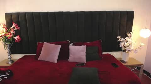 Snapshot of soft_attraction chatting on February 2026 07:46:01 PM Cam and Amy online show from February 2026 07:46:01 PM