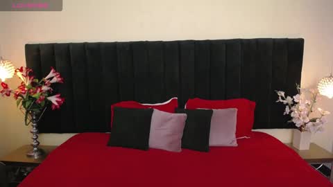 Snapshot of soft_attraction chatting on March 2026 07:53:01 PM Cam and Amy online show from March 2026 07:53:01 PM