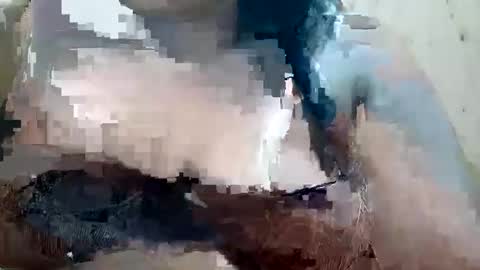 soft_bads online show from October 2025 10:46:02 AM