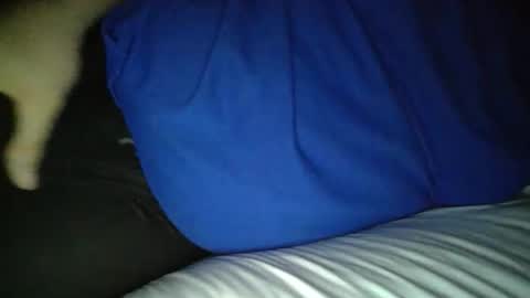 softservestud online show from May 2026 11:15:01 AM